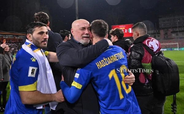 2014世界盃波赫留下了優良小組賽成績(photo:nst.com)/球爺嘴球